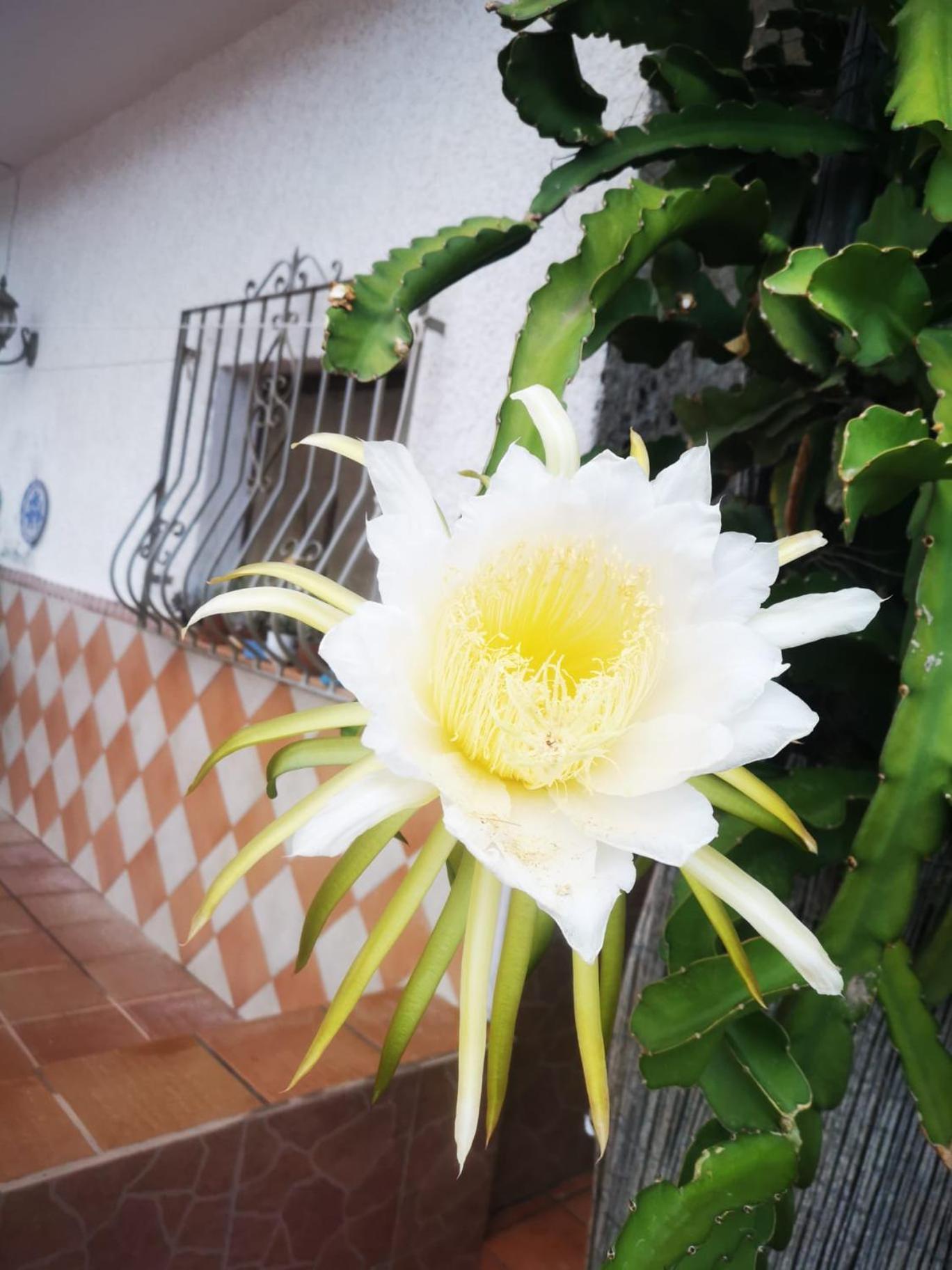 Ferienwohnung Vivienda Rural En Cabo De Gata El Pozo de los Frailes Exterior foto