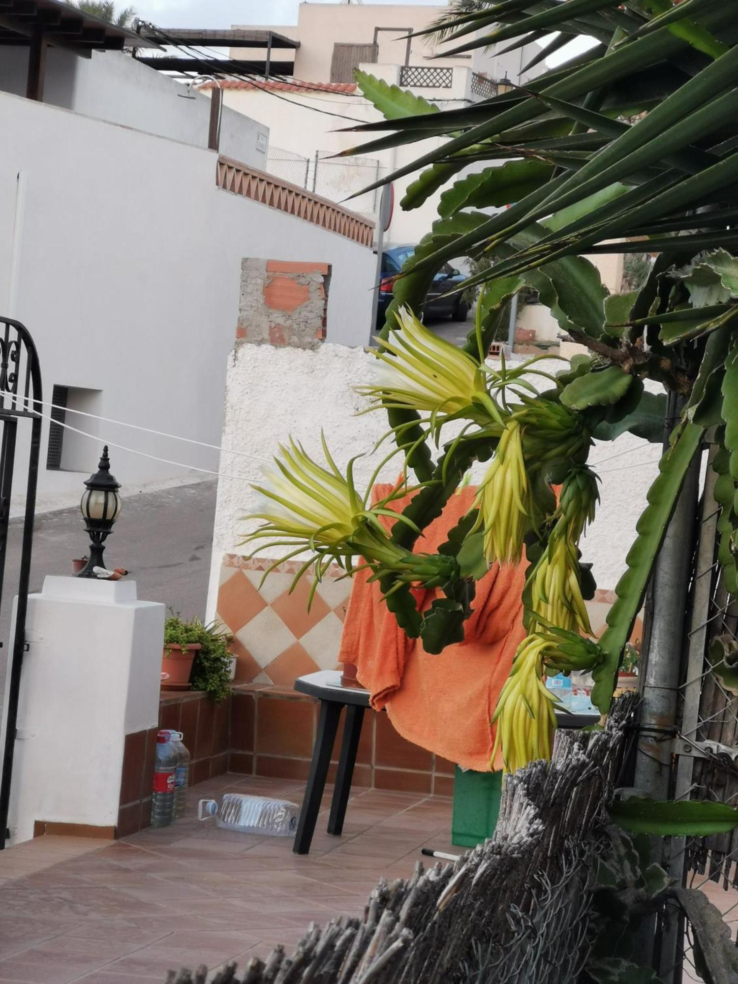 Ferienwohnung Vivienda Rural En Cabo De Gata El Pozo de los Frailes Exterior foto